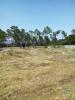Annonce Vente Terrain ALCANENA