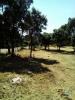 Acheter Terrain 5620 m2 ALCANENA
