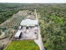 Acheter Local industriel 878 m2 CHAMUSCA