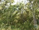 Acheter Terrain 5960 m2 FERREIRA-DO-ZEZERE