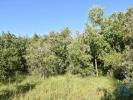 Acheter Terrain 1440 m2 FERREIRA-DO-ZEZERE