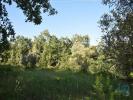 Acheter Terrain FERREIRA-DO-ZEZERE rgion SANTAREM