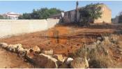 Acheter Terrain 440 m2 LOULE