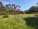 Acheter Terrain 5360 m2 LOURINHA