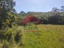 Acheter Terrain 15440 m2 LOURINHA