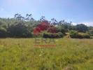 Acheter Terrain 10080 m2 LOURINHA