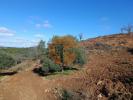 Annonce Vente Terrain CASTRO-MARIM