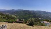 Acheter Terrain 12220 m2 OLIVEIRA-DO-HOSPITAL