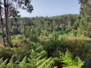 Acheter Terrain 28228 m2 PEDROGAO-GRANDE