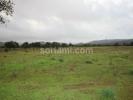 Annonce Vente Terrain ALBUFEIRA