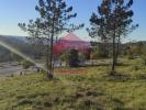 Annonce Vente Terrain POMBAL
