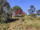 Acheter Terrain 297 m2 POMBAL