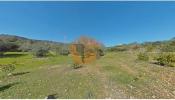 Annonce Vente Terrain FARO