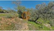 Acheter Terrain FARO rgion FARO