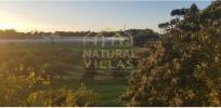 Acheter Maison OLHAO rgion FARO
