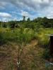 Acheter Terrain ALCANENA rgion SANTAREM