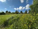 Annonce Vente Terrain MAFRA