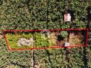 Acheter Terrain 1920 m2 CAMARA-DE-LOBOS