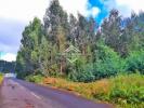 Acheter Terrain CAMACHA rgion MADEIRA