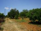 Annonce Vente Terrain VILA-REAL-DE-SANTO-ANTONIO