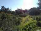 Acheter Terrain PORTIMAO rgion FARO