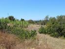 Acheter Terrain PORTIMAO rgion FARO