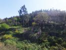 Vente Terrain MONCHIQUE 8550