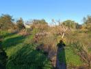 Acheter Terrain SILVES rgion FARO