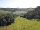 Vente Terrain VILA-DO-BISPO 8650