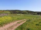 Acheter Terrain VILA-DO-BISPO