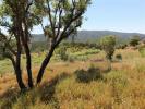 Annonce Vente Terrain MONCHIQUE