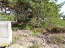 Vente Terrain ALJEZUR 8670