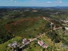 Annonce Vente Terrain ALEM-DA-RIBEIRA