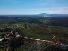 Acheter Terrain ALEM-DA-RIBEIRA rgion SANTAREM