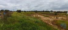 Annonce Vente Terrain CORUCHE