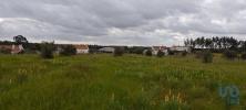 Acheter Terrain 7020 m2 CORUCHE