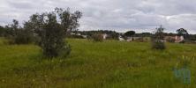 Acheter Terrain CORUCHE rgion SANTAREM