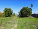 Acheter Terrain SALVATERRA-DE-MAGOS rgion SANTAREM