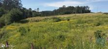 Annonce Vente Terrain POVOA-DE-LANHOSO