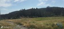 Annonce Vente Terrain POVOA-DE-LANHOSO