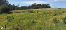 Annonce Vente Terrain POVOA-DE-LANHOSO