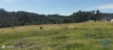 Annonce Vente Terrain POVOA-DE-LANHOSO