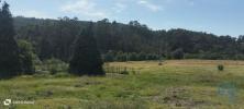 Acheter Terrain 420 m2 POVOA-DE-LANHOSO