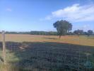 Annonce Vente Terrain CANHA