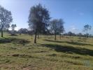Acheter Terrain 32767 m2 CANHA