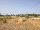 Annonce Vente Terrain SILVES