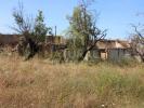 Annonce Vente Terrain FARO