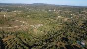 Annonce Vente Terrain FERREIRA-DO-ZEZERE