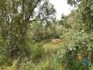 Annonce Vente Terrain FERREIRA-DO-ZEZERE