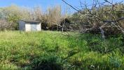 Acheter Terrain ALCOBACA rgion LEIRIA